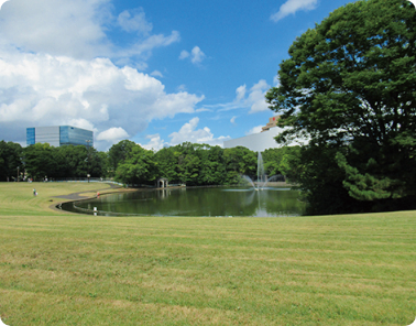 多摩中央公園画像