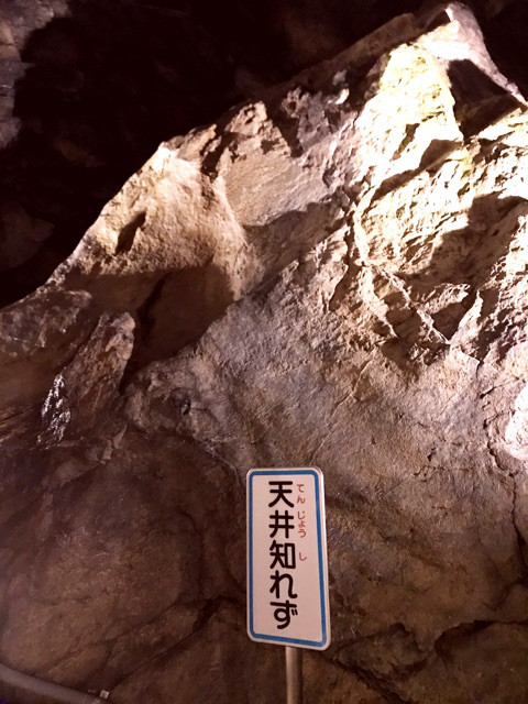 ブロガーの画像10