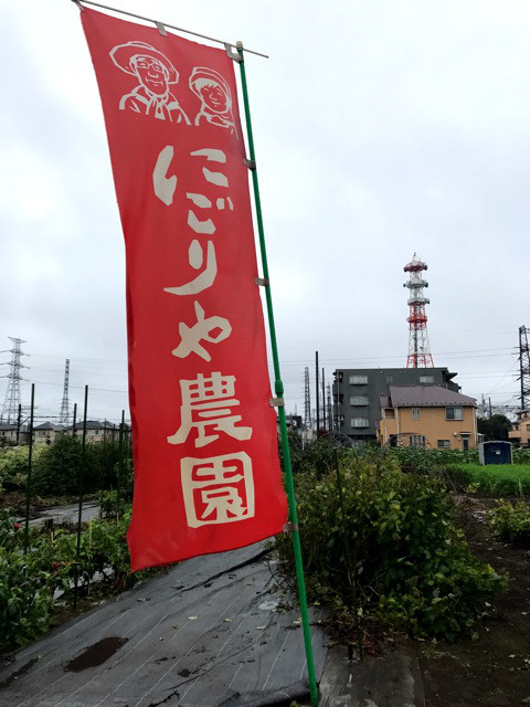 ブロガーの画像04