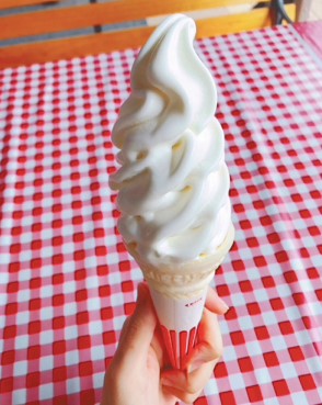 ブロガーの画像10