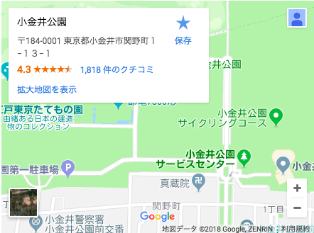 ブロガーの画像11