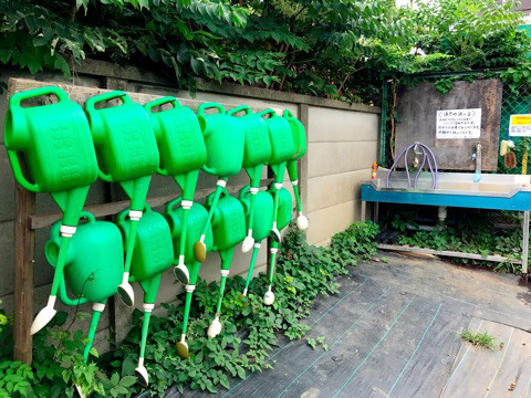 ブロガーの画像12