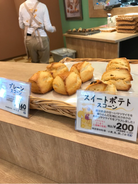 ブロガーの画像12