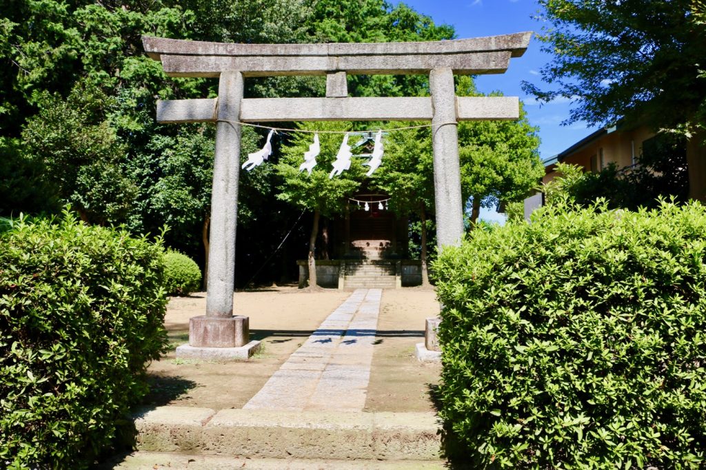 ブロガーの画像15