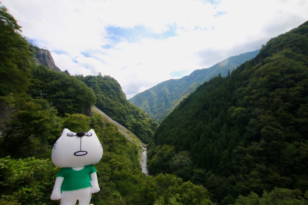 ブロガーの画像18