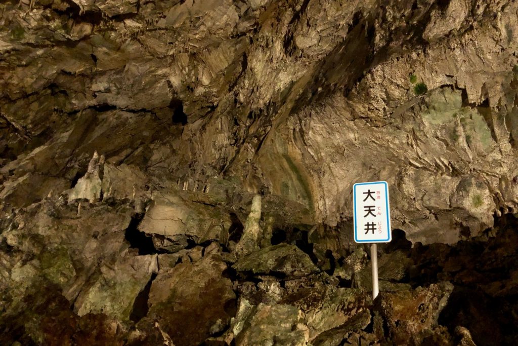 ブロガーの画像08