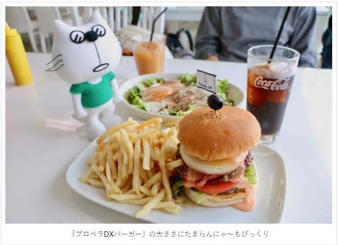ブロガーの画像10