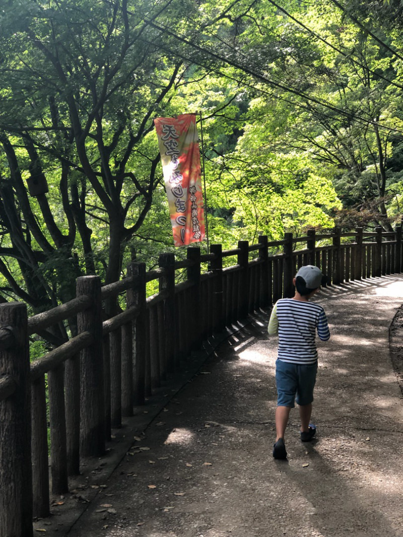 ブロガーの画像06
