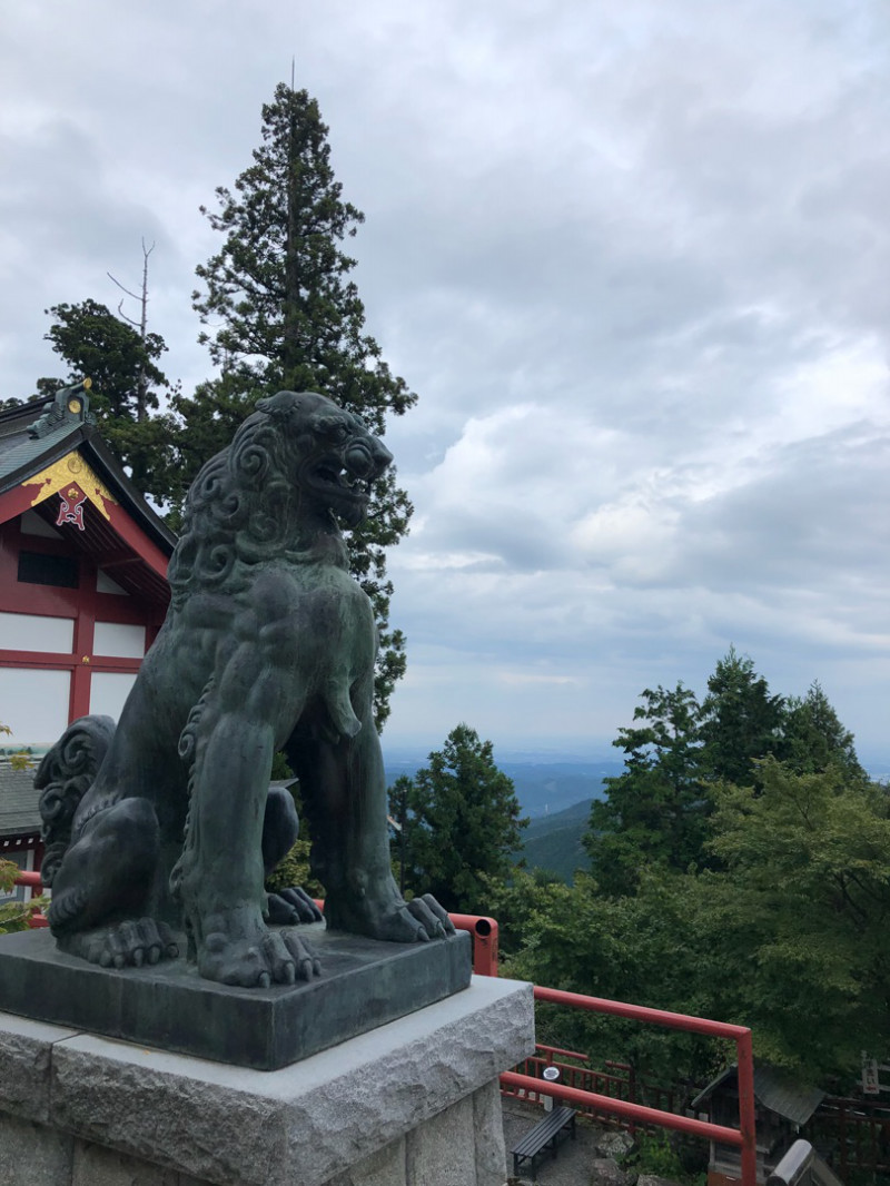 ブロガーの画像15