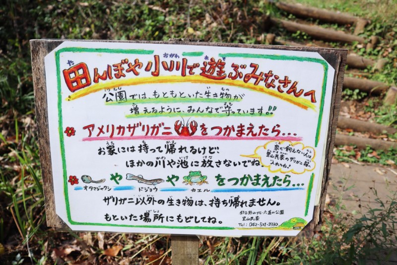 ブロガーの画像19