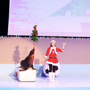 ブロガーの画像17