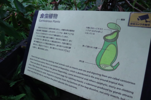 ブロガーの画像09