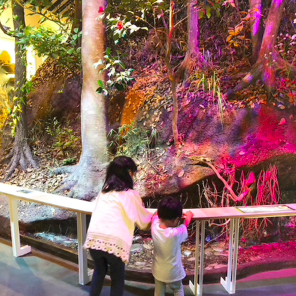 ブロガーの画像16