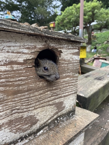ブロガーの画像03