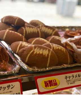 ブロガーの画像12