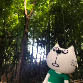 ブロガーの画像04