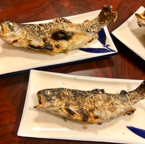 ブロガーの画像17