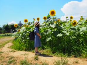 ブロガーの画像06
