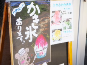 ブロガーの画像15