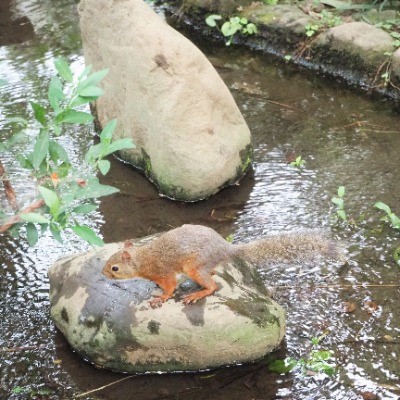 ブロガーの画像11