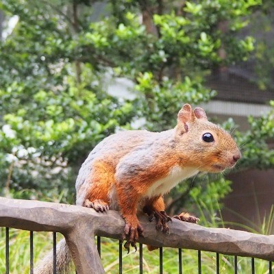 ブロガーの画像13
