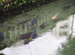 ブロガーの画像13