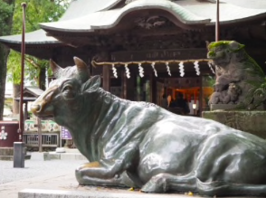 ブロガーの画像09