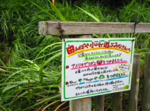 ブロガーの画像13