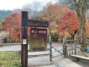 ブロガーの画像07