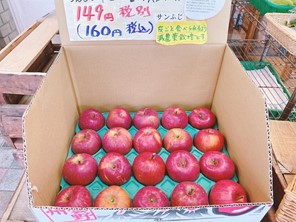 ブロガーの画像05