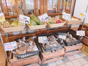 ブロガーの画像06