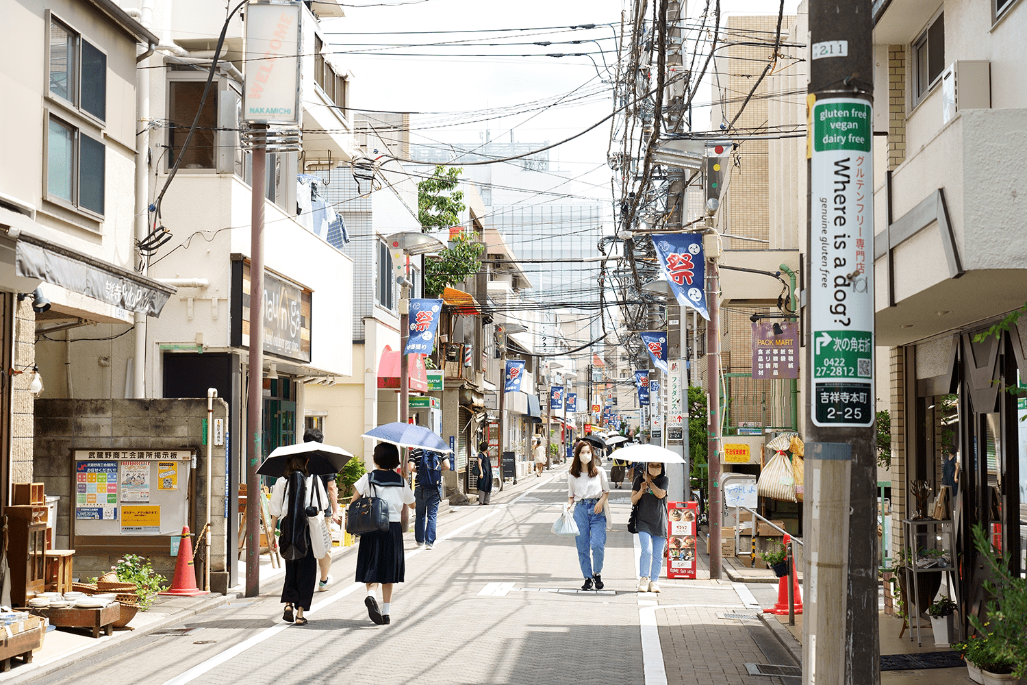 写真5