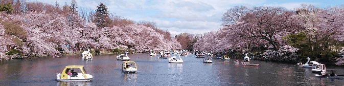 写真:都立井の頭恩賜公園