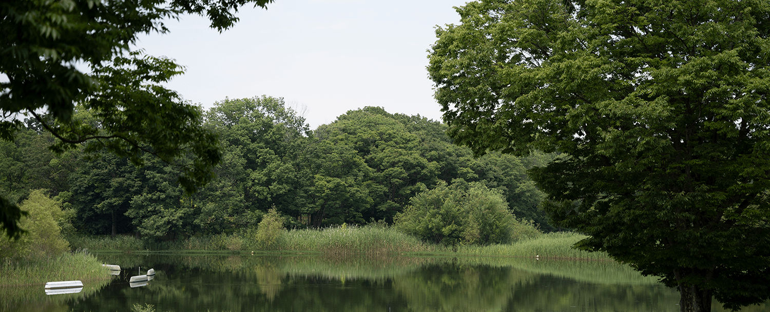 写真:緑豊かな昭和記念公園
