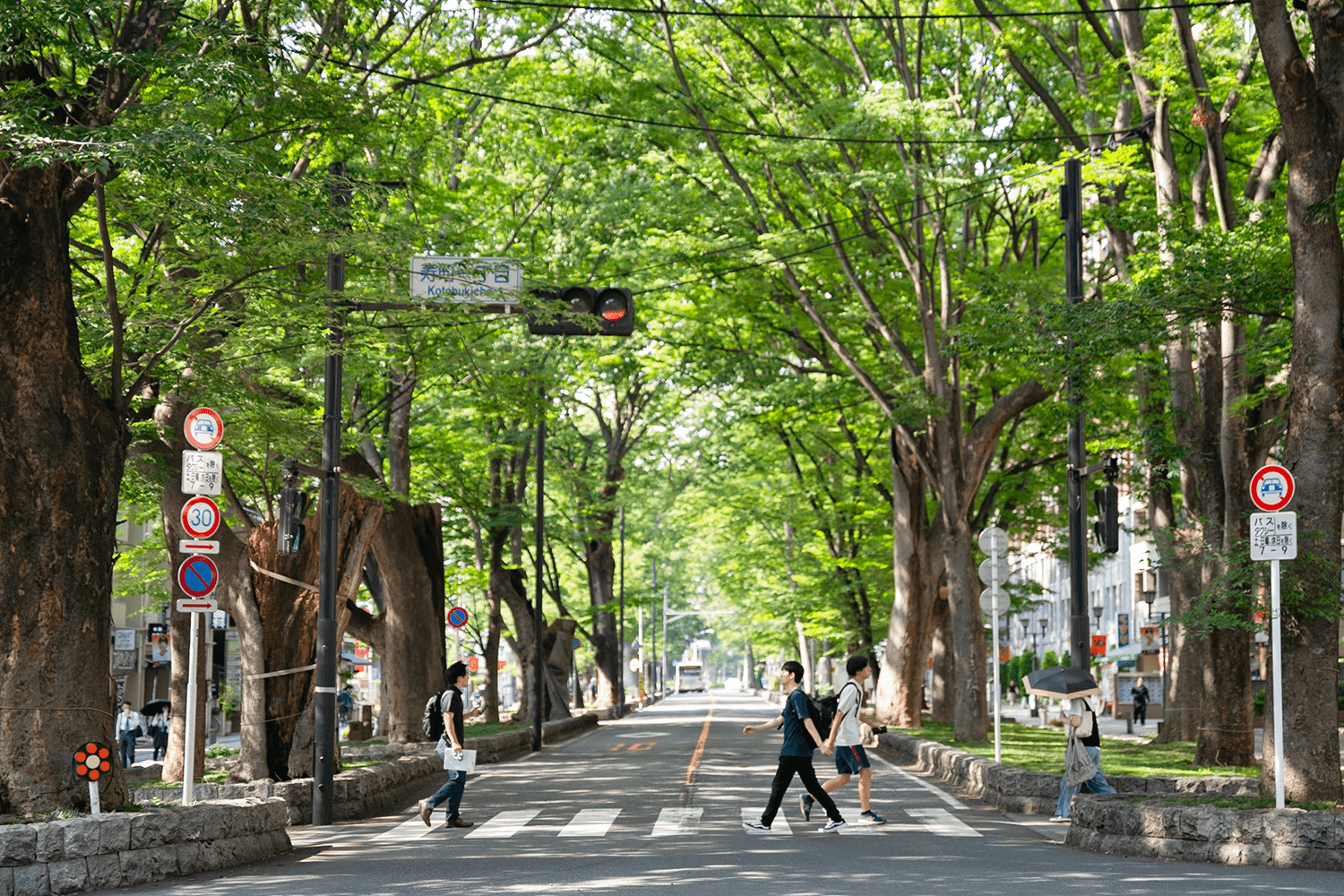 写真:府中市のシンボル「大國魂神社」2