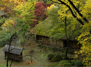 里山の秋