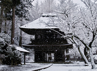 雪化粧で　お も て な し