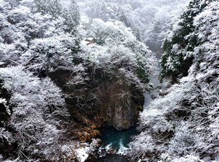 奥多摩初雪