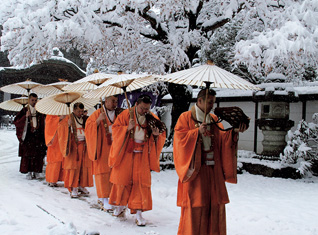 雪の日のごまだき