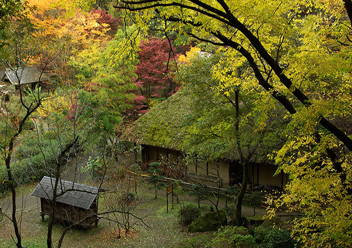 里山の秋