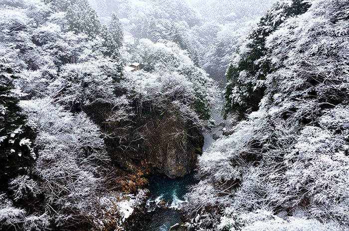 奥多摩初雪