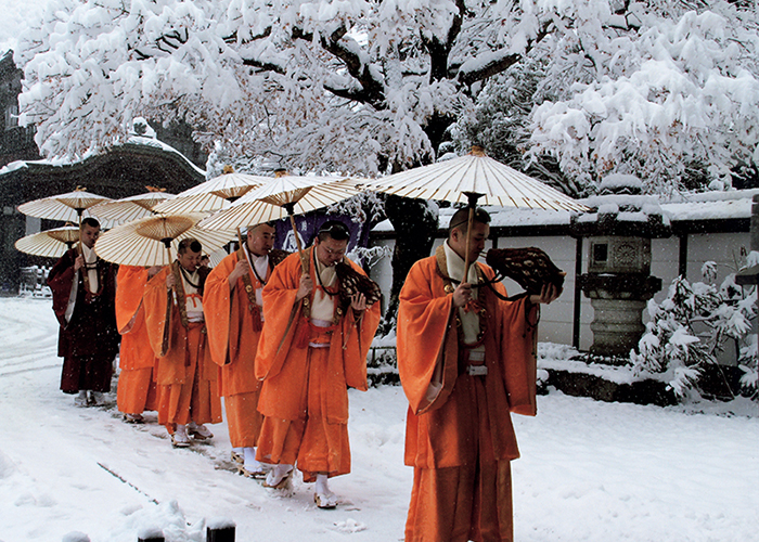 雪の日のごまだき