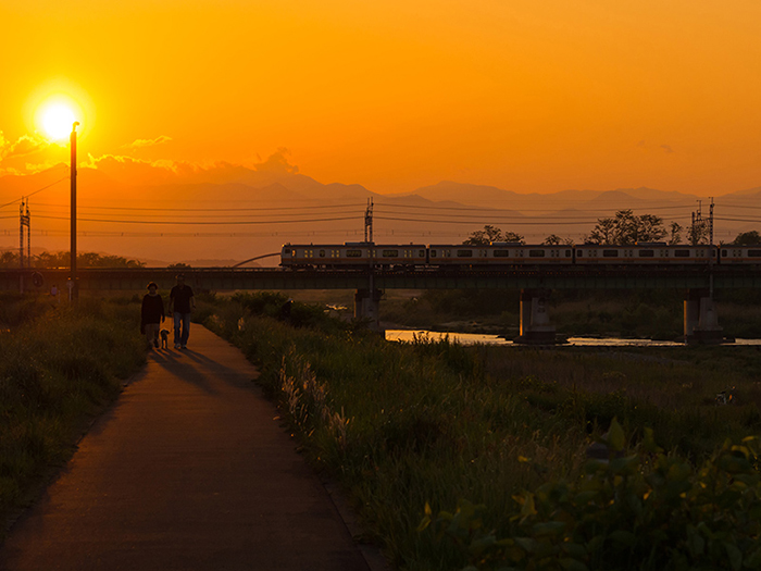 多摩川の家路