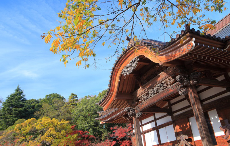 Mynavi Japan-iの画像23