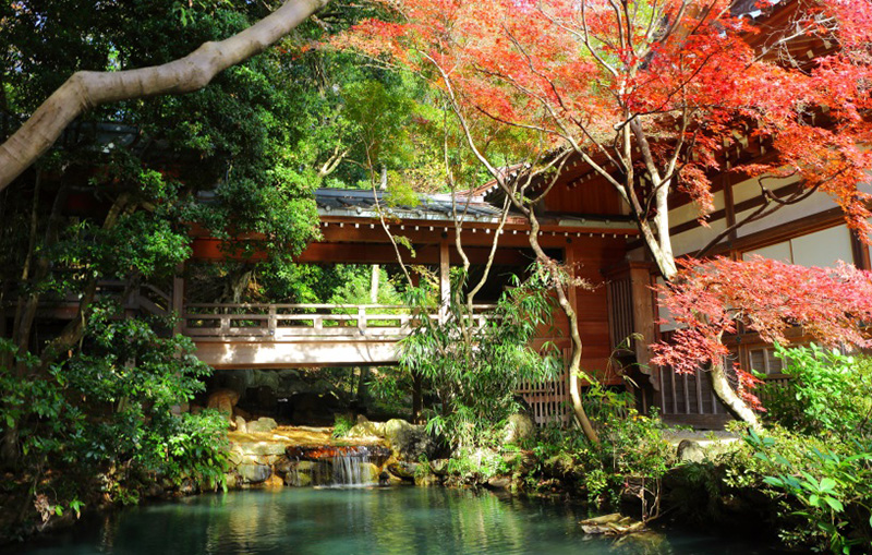 Mynavi Japan-iの画像24