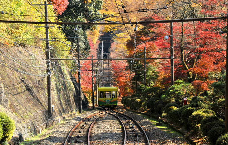 Mynavi Japan-iの画像26