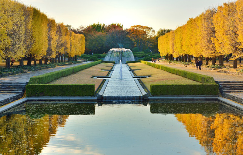 Mynavi Japan-iの画像28