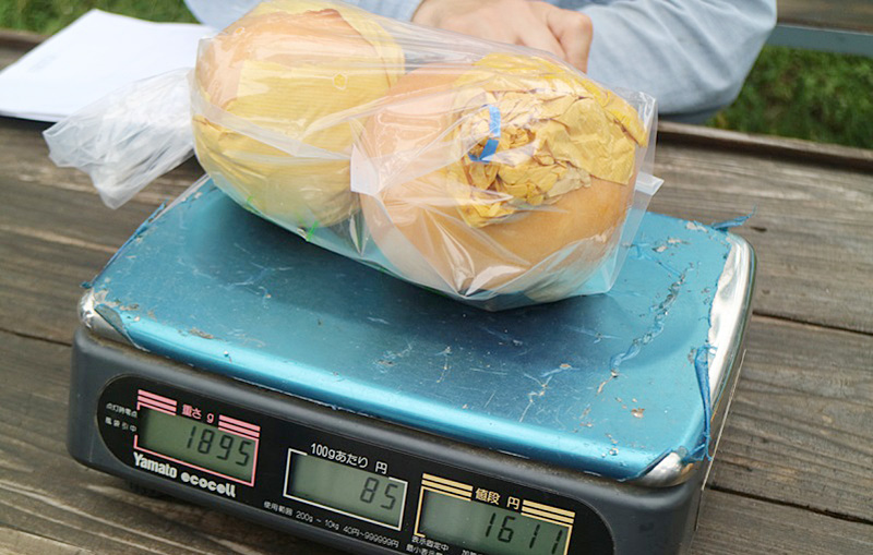 Mynavi Japan-iの画像04