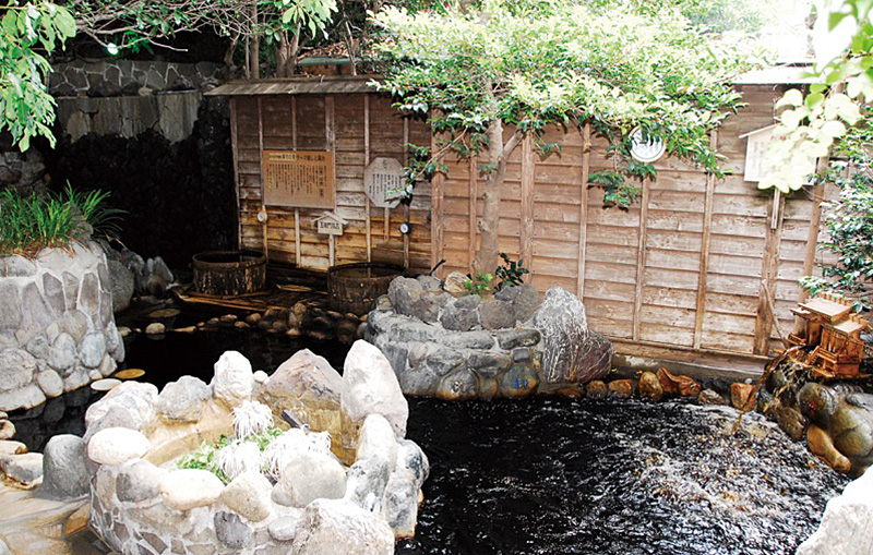 Mynavi Japan-iの画像09