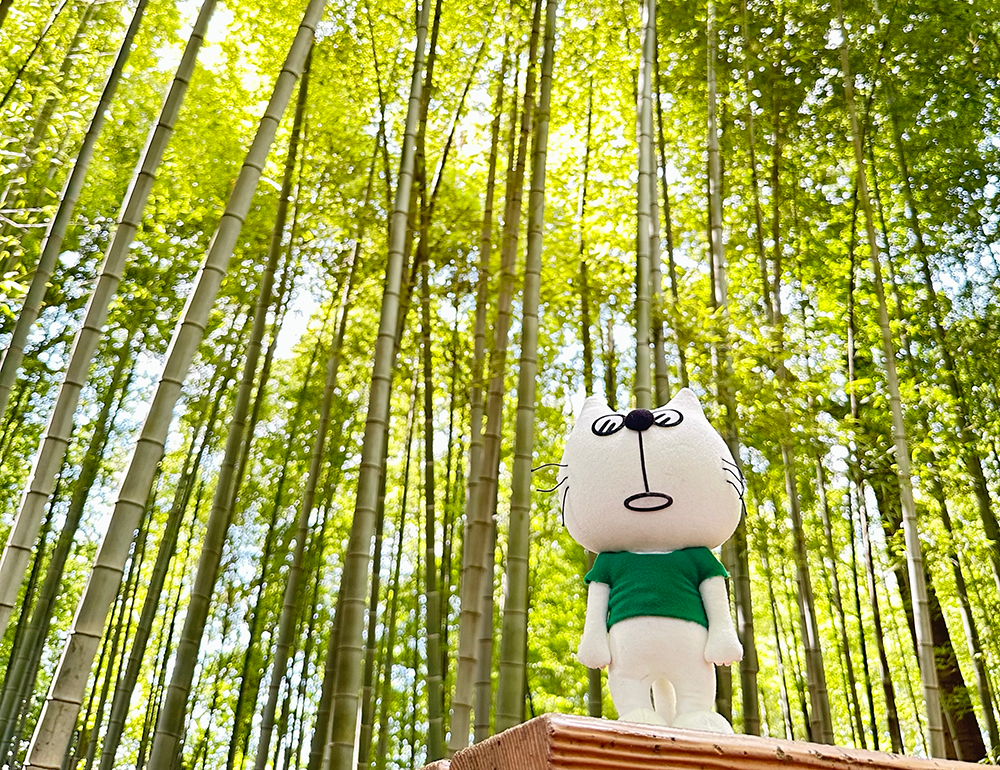 写真:竹林公園/東久留米市